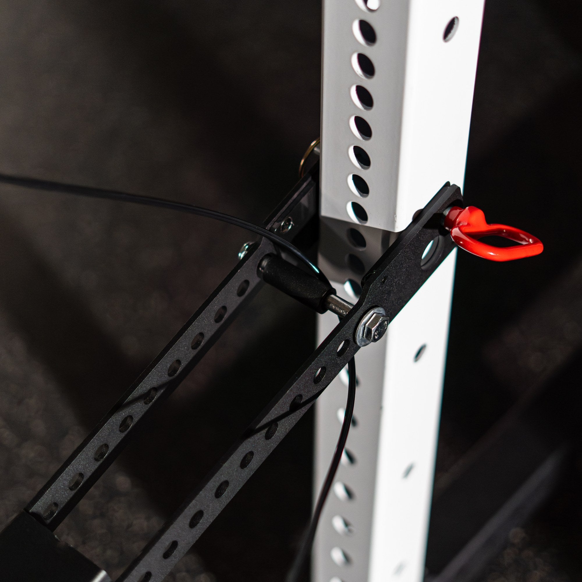 Revolt Belt Squat 2.0 (Free Belt Included)