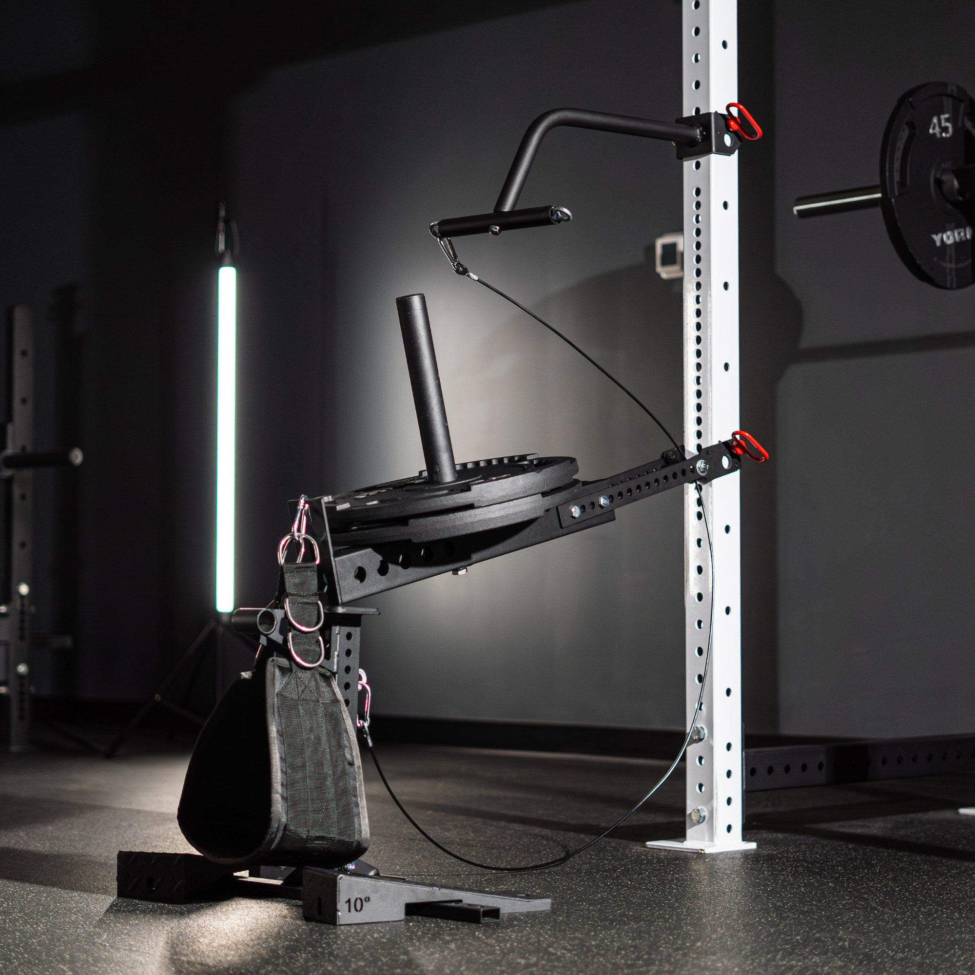 Revolt Belt Squat 2.0 (Free Belt Included)